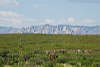 Open Range